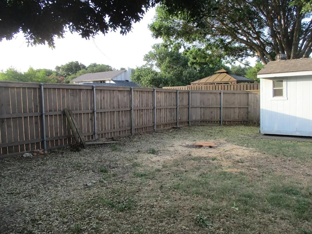 Cleared yard after professional tree removal in Greenville